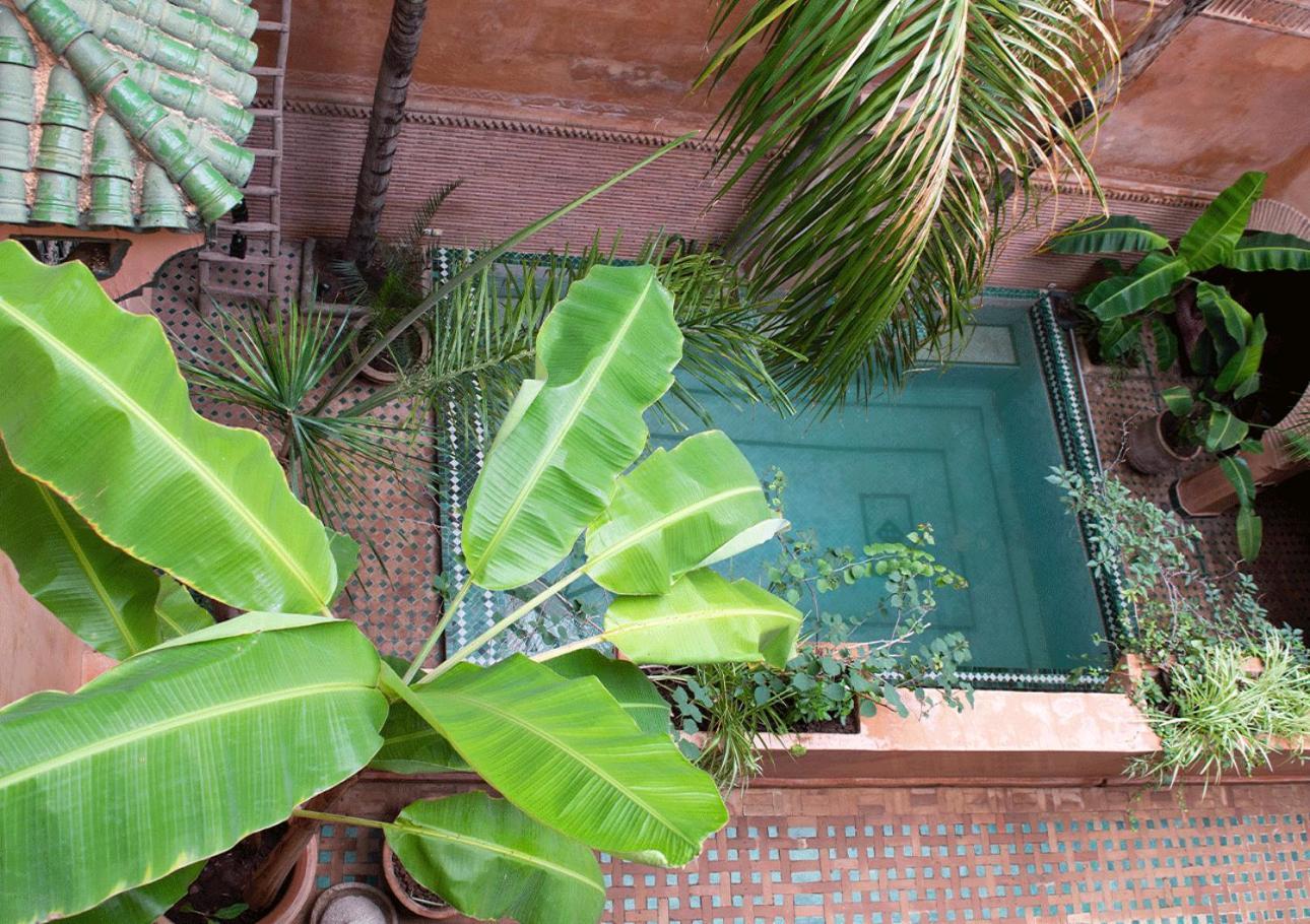Riad Amirat Al Jamal Marrakesz Zewnętrze zdjęcie